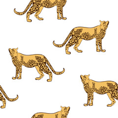 Safari seamless pattern with leopard on white background. Wildlife print. Vector nature illustration.