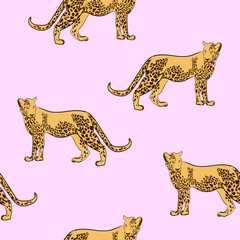 Safari seamless pattern with leopard on white background. Wildlife print. Vector nature illustration.