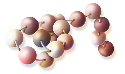 Peptide: protein formed by a chain of animated acids.