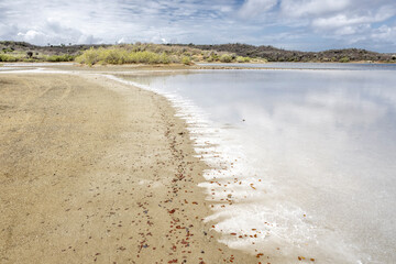 Walk along the salty shores of the Jan Thiel lagoon on the Caribbean island Curacao