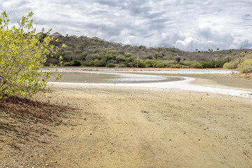 Walk along the salty shores of the Jan Thiel lagoon on the Caribbean island Curacao