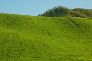toscana italia green