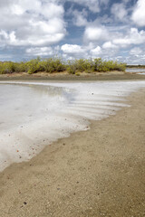 Walk along the salty shores of the Jan Thiel lagoon on the Caribbean island Curacao