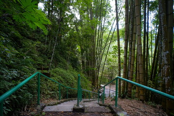 Fototapeta premium Rows of stairs going down in one of the ecotourism locations. 