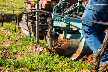 Farmer drives the plow while plowing the vineyard with the crawler tractor. Agricultural industry,...