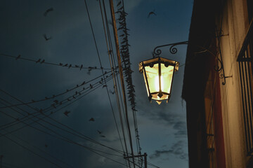 luz en cada rincon