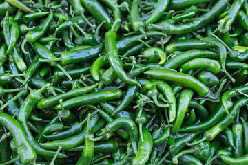 big harvest of green chili peppers.Close-up background