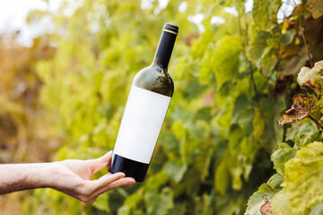 A bottle of wine in a vineyard. Mock-up for design.