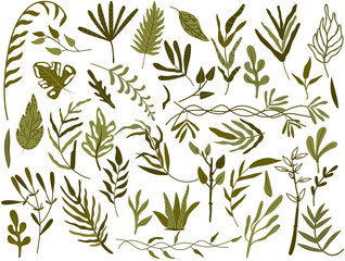Big Botanical set of green leaves, branches, herbs, decorative leaves and tropical leaf. Bright green foliage in boho style. Botany collection for wedding, card, banner, greetings. Vector.