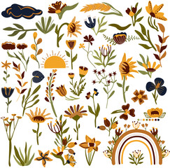 Big Botanical set of wildflowers, garden plants, branches, herbs, decorative leaves and rainbow. Bright wild meadow flowers in boho style. Botany collection. Vector illustration