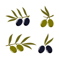 Set of olives. Olive branches. Vector illustration for deisgn, patterns, wreaths, web, olive oil logo