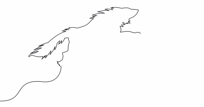 Self drawing line animation wild wolf continuous line concept
