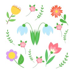 Set of flowers
Spring flowers flat vector illustrations set. Icons isolated on white background.
