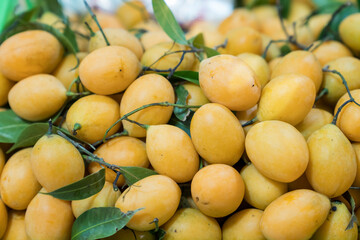 Thai summer fruit Background. Mangosteen, Mayongchid, Marian Plum.