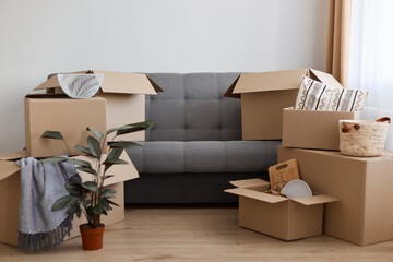 Indoor shot of apartment with lots cardboard boxes, gray sofa full of carton parcels with personal belongings, flower pot with flower on floor, relocating, moving in a new flat.
