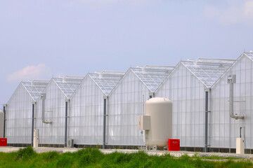 A greenhouse house that grows crops built in a row