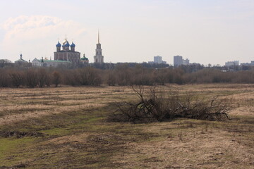 An old tree with fallen branches in a meadow against the backdrop of the Ryazan Kremlin