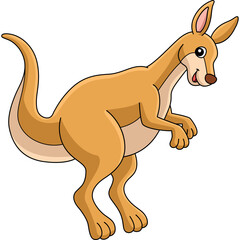 Kangaroo Animal Colored Cartoon Illustration