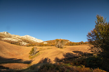 Magical forests in Northern Spain.