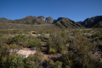 Hiking along the yellow grassland. View of the footpath along the meadow and into the mountains, in a sunny day.