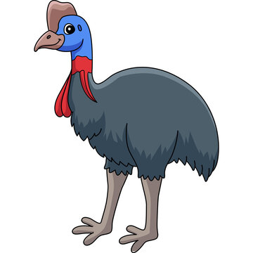recommend clip art: Cassowary Animal Cartoon Colored Clipart 
