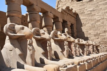 Row of ram-headed sphinxes at Karnak Temple in Luxor, Egypt.