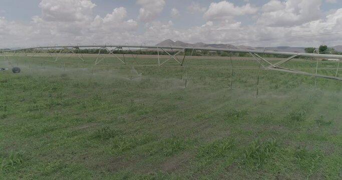 antenas