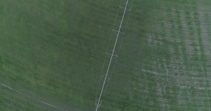 campo