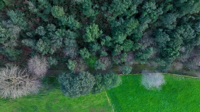 Landscape in San Miguel de Aras in the municipality of Voto. Aerial view from a drone. Aras Valley, Cantabria, Spain, Europe