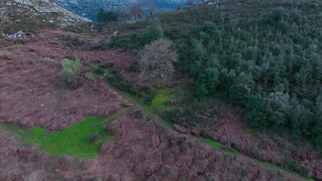 Landscape in San Miguel de Aras in the municipality of Voto. Aerial view from a drone. Aras Valley, Cantabria, Spain, Europe