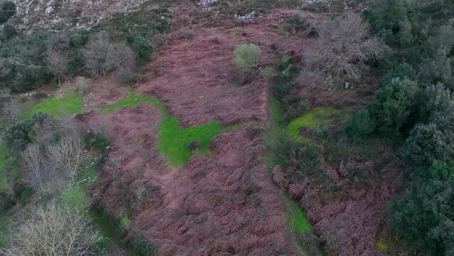 Landscape in San Miguel de Aras in the municipality of Voto. Aerial view from a drone. Aras Valley, Cantabria, Spain, Europe