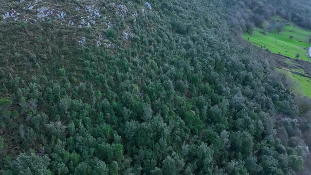Landscape in San Miguel de Aras in the municipality of Voto. Aerial view from a drone. Aras Valley, Cantabria, Spain, Europe