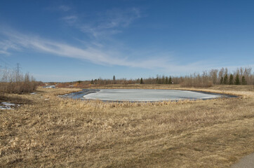 Pylypow Wetlands on an Early Spring Day