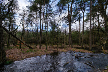 Leuvenumse bossen, Hulshortserzand