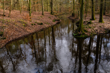Leuvenumse bossen, Hulshortserzand