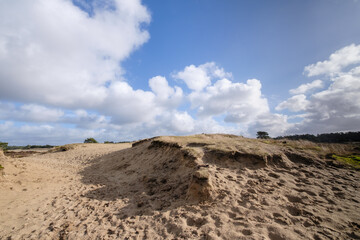 Leuvenumse bossen, Hulshortserzand