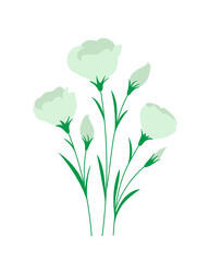 Fototapeta na wymiar Eustoma lisianthus flowers for decoration design. floral illustration.