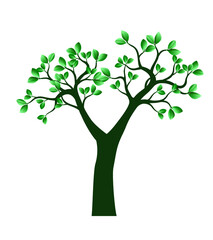 Obraz premium Green Tree. Vector outline Illustration.