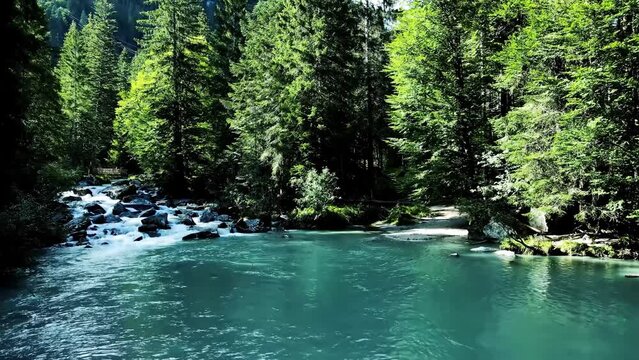 Aerial Drone - Summer Landscape on Lake Amola