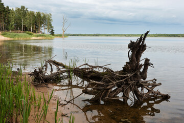 Fototapeta na wymiar The nature of Belarus, a calm cloudy summer day on the Vileika reservoir
