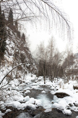 mountain river in winter among the rocks