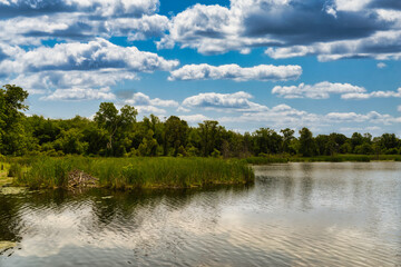 Beaver Dam at Crooked Lake