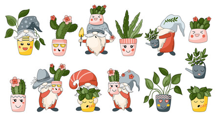 Garden gnomes with house plants