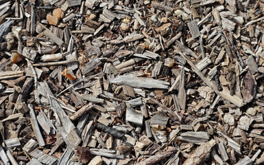 Texture, sawdust on the ground, small chips, wood shavings