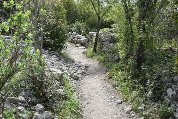 Chemin de pierre