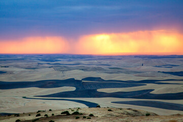Obraz premium A view of the Palouse from the top of Steptoe Butte in eastern Washington, USA