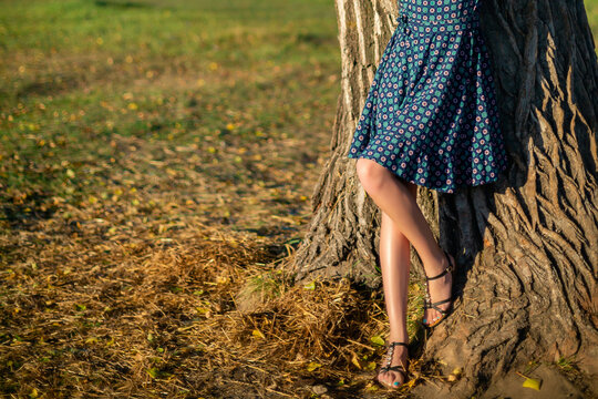 cropped image of slender female legs. A woman stands near a large tree in an autumn park