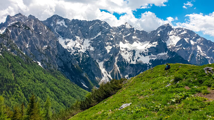 Fototapeta na wymiar Man lying on green spring alpine meadow with scenic view from summit of Goli Vrh on rocky sharp mountains of Kamnik Savinja Alps in Carinthia, border Austria and Slovenia. Mountaineering. Freedom. Awe