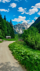 Fototapeta na wymiar Alpine cottage and hiking path with scenic view on mountain peaks of Kamnik Savinja Alps in Carinthia, border Austria and Slovenia. Trail passing by a wooden shelter. Mountaineering. Freedom. Europe