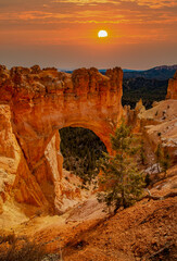 Natural Bridge.  It is one of several natural arches in Bryce Canyon and creates a beautiful scene at this viewpoint.